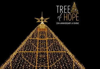 A large Christmas tree structure is lit up with golden lights and a golden star against a black sky. There is a logo in the top right corner that reads 'Tree of Hope, 25th Anniversary of giving'.