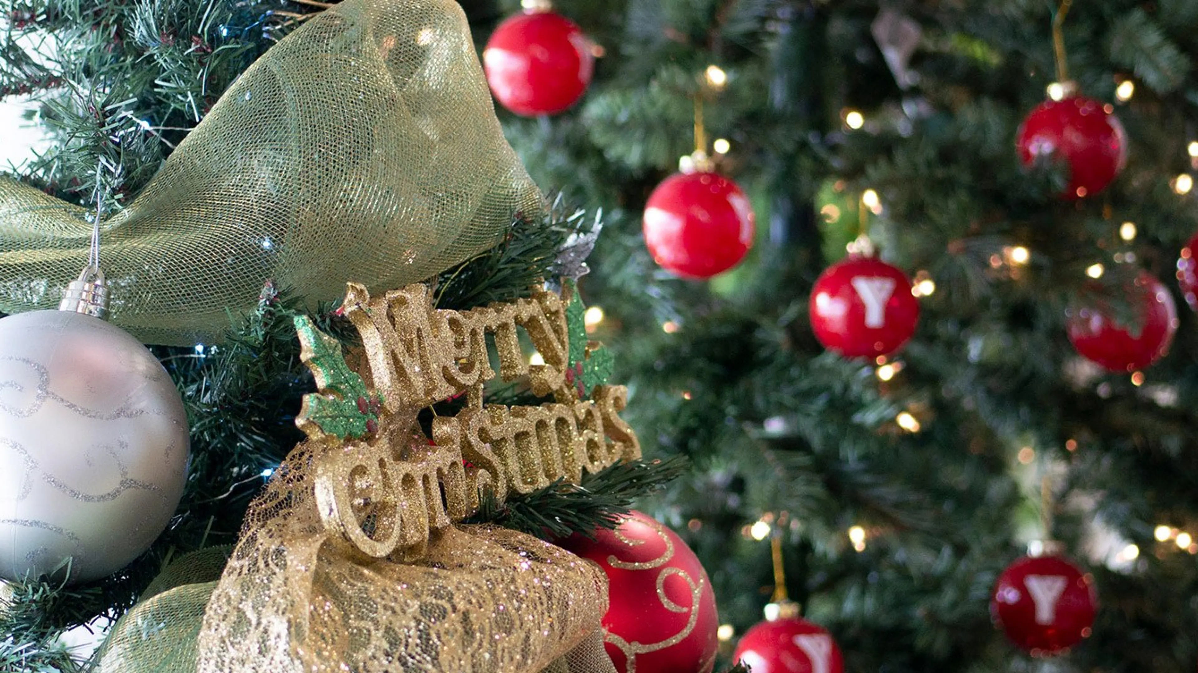 Christmas trees with gold Merry Christmas and red YMCA ornaments