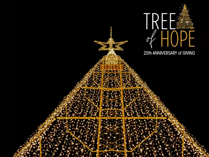 A large Christmas tree structure is lit up with golden lights and a golden star against a black sky. There is a logo in the top right corner that reads 'Tree of Hope, 25th Anniversary of giving'.