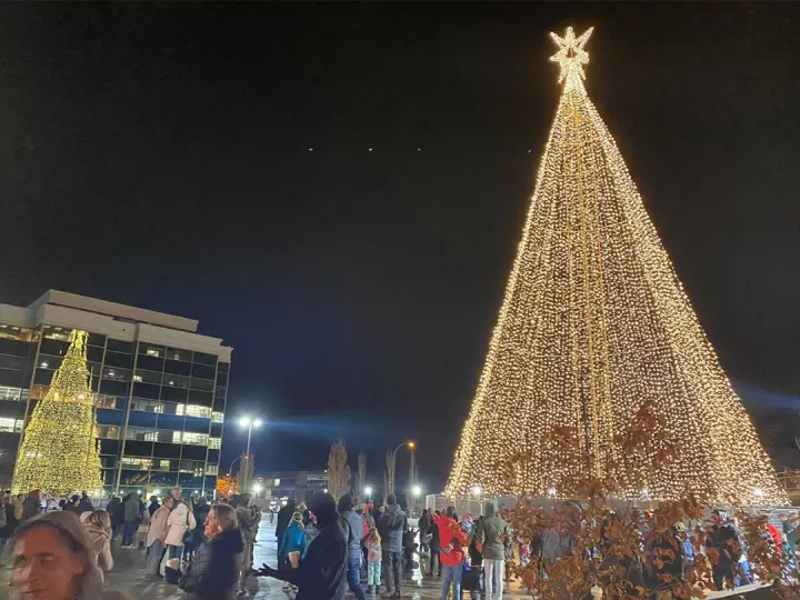 An enormous Christmas tree is lit up with all white lights  in the nighttime, as a crowd gathers around the base.  There are office buildings in the background that reflect the tree. 