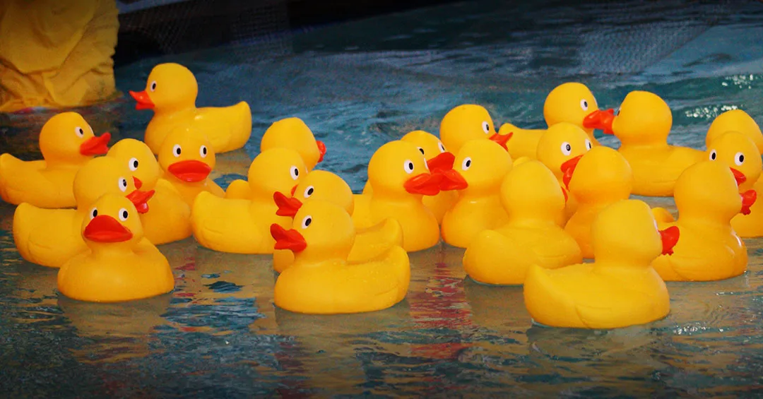 large rubber ducks floating in the H2O lazy river